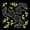 428 silhouette goldfish black